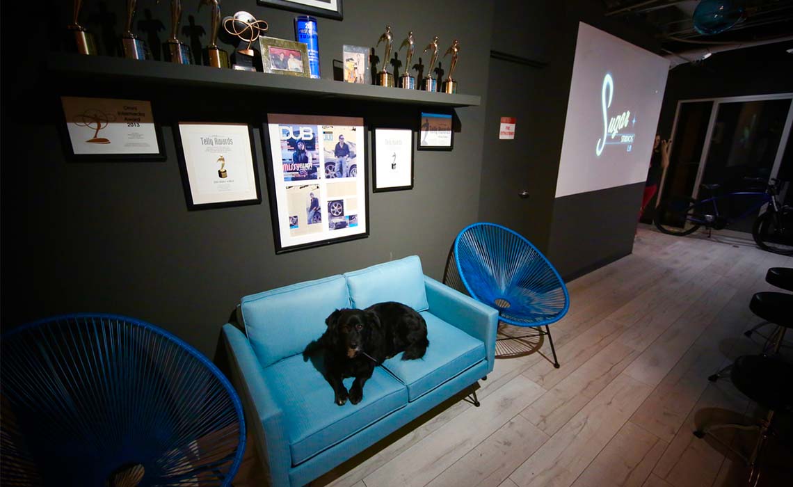 Gallery Sugar Studios